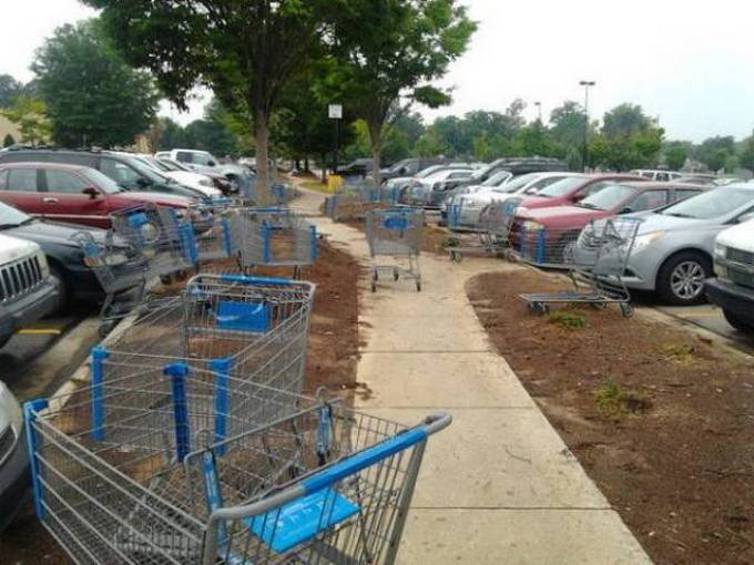 Preguiça é um animal de espírito para essas pessoas (31 fotos) 13