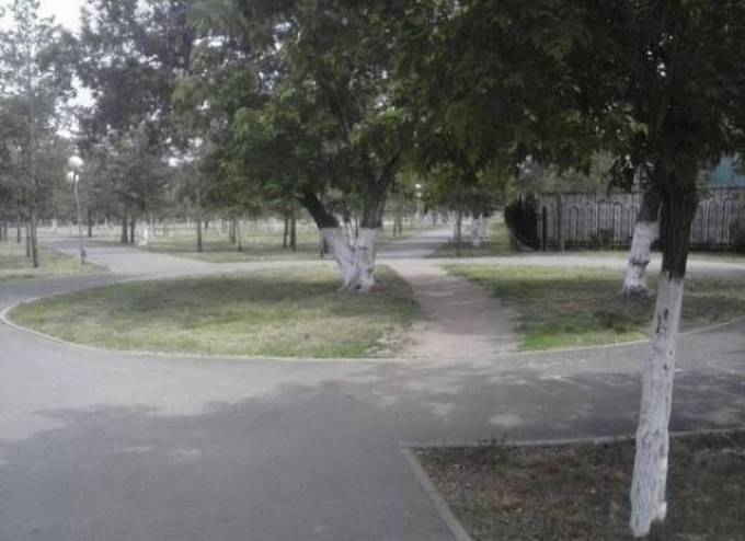 Preguiça é um animal de espírito para essas pessoas (31 fotos) 22