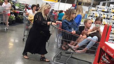 Preguiça é um animal de espírito para essas pessoas (31 fotos) 29
