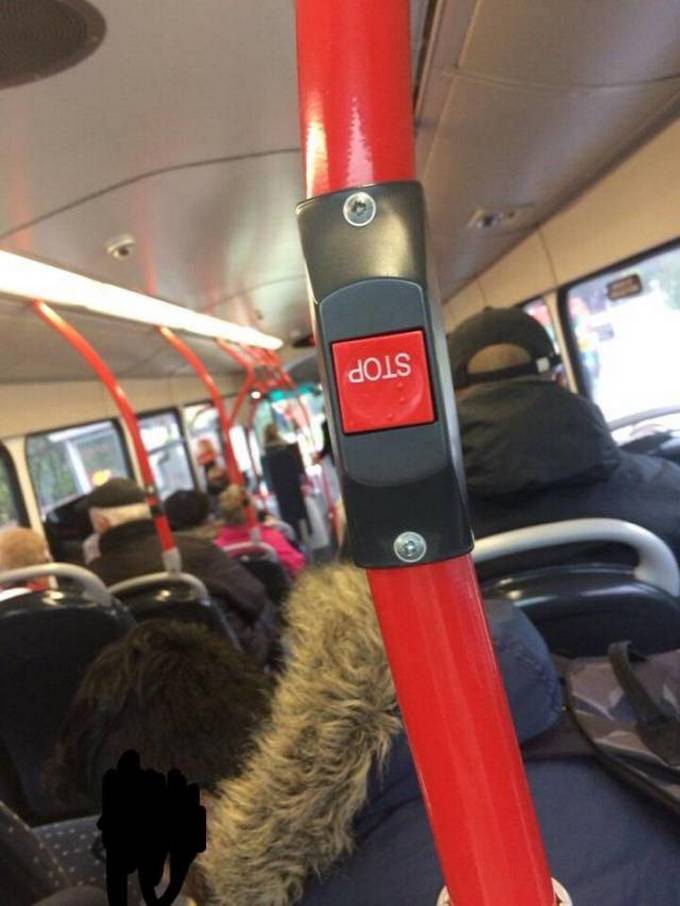 Você teve um emprego, mas falhou miseravelmente (31 fotos) 12