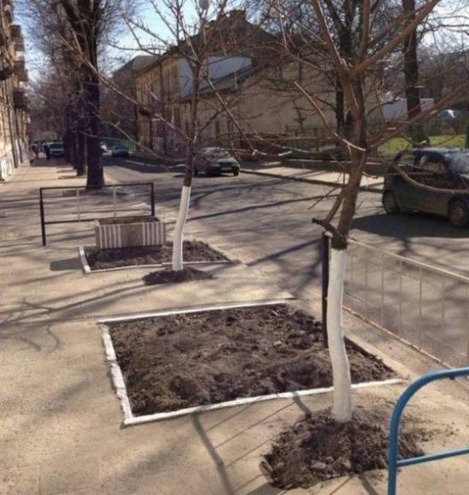 Você teve um emprego, mas falhou miseravelmente (31 fotos) 27