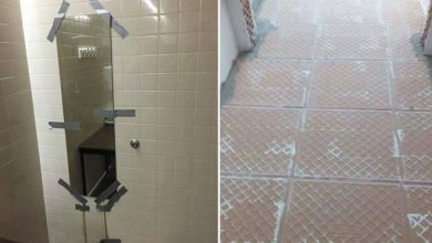 Você teve um emprego, mas falhou miseravelmente (31 fotos) 8