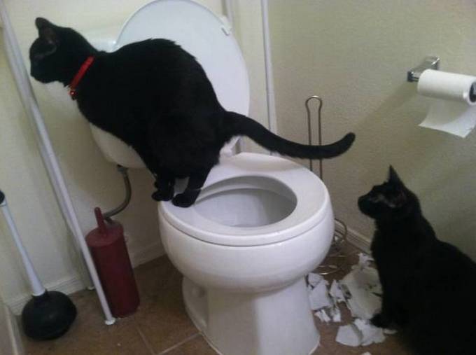 A vida é diferente quando você está sempre sozinho (25 fotos) 3