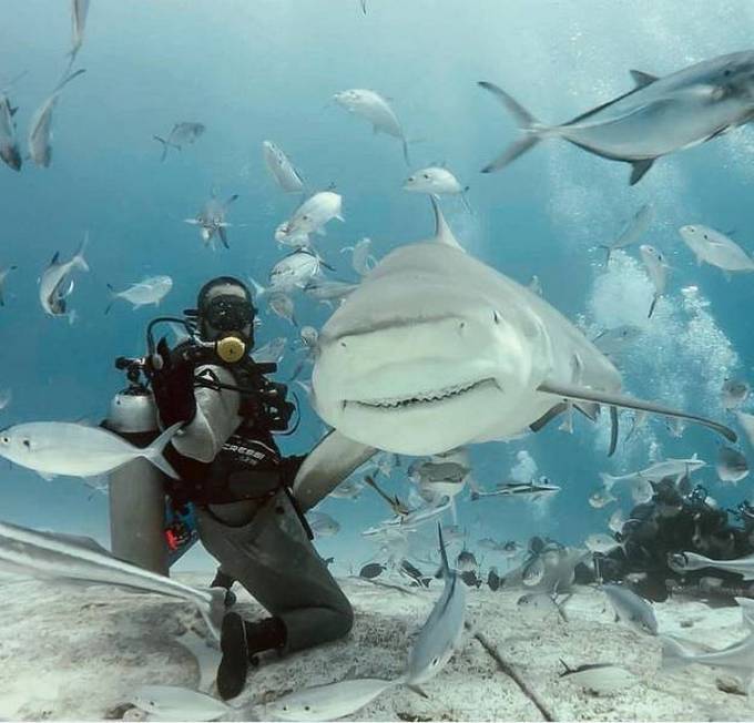 Bons exemplos quando uma imagem diz mais que mil palavras (30 fotos) 4