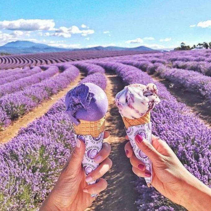 Bons exemplos quando uma imagem diz mais que mil palavras (30 fotos) 6