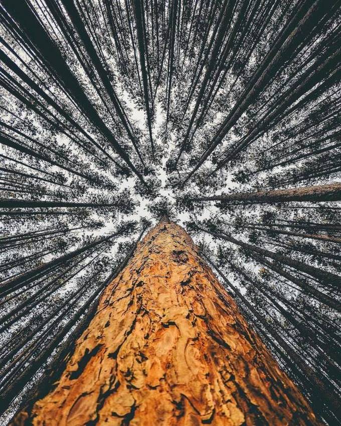 Bons exemplos quando uma imagem diz mais que mil palavras (30 fotos) 17