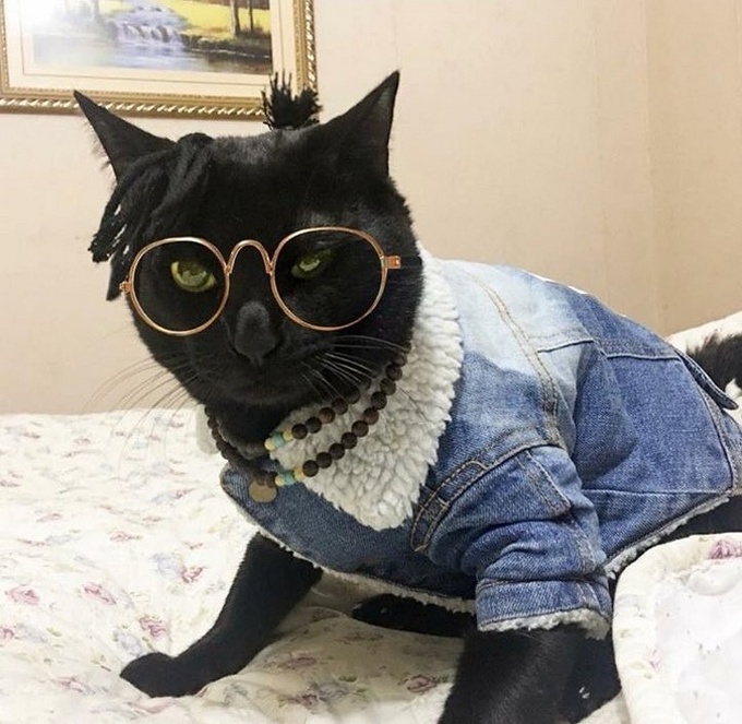 21 fotos anti-stress para você olhar antes de um dia difícil 2