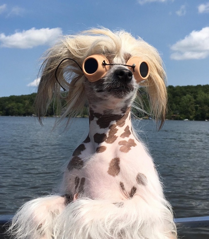 21 fotos anti-stress para você olhar antes de um dia difícil 3