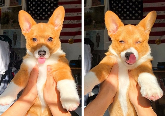 21 fotos anti-stress para você olhar antes de um dia difícil 7