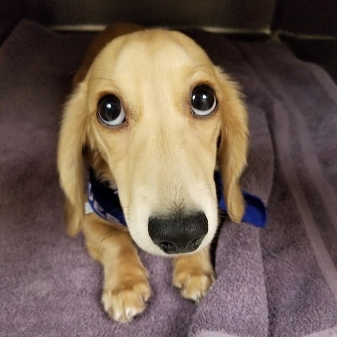 21 fotos anti-stress para você olhar antes de um dia difícil 9