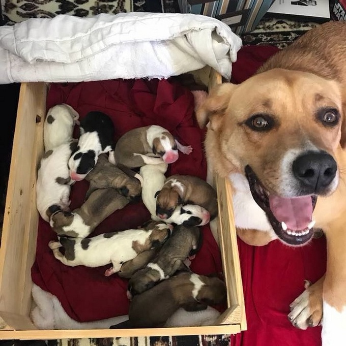 21 fotos anti-stress para você olhar antes de um dia difícil 12