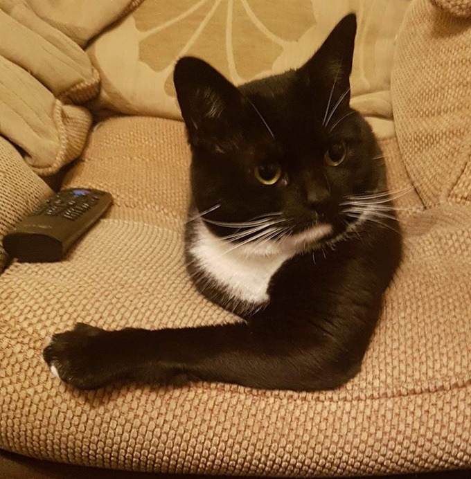 20 fotos que nos fazem esfregar nossos olhos para dar uma segunda olhada 1