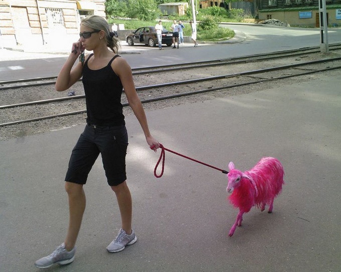 20 fotos que nos fazem esfregar nossos olhos para dar uma segunda olhada 8