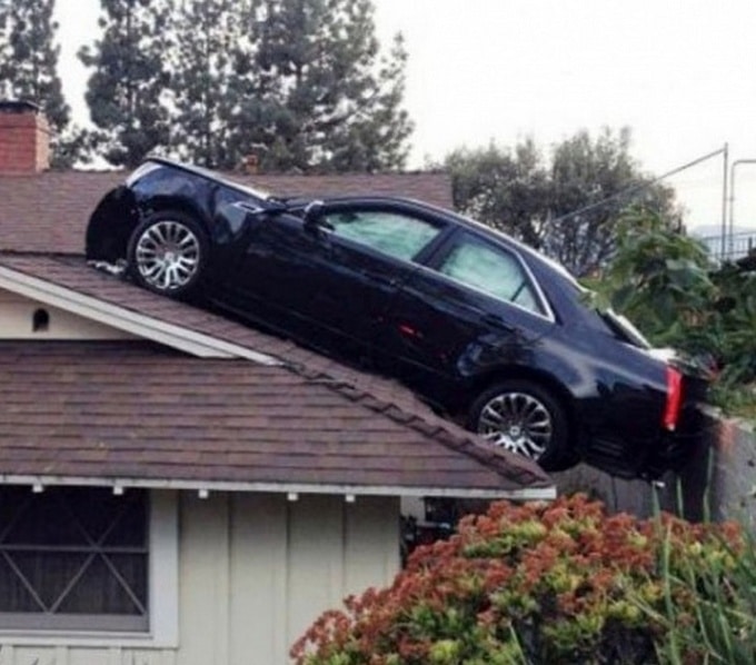 20 fotos que nos fazem esfregar nossos olhos para dar uma segunda olhada 18