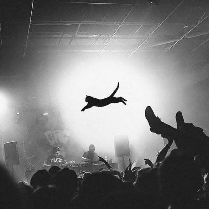 Fotos legais #71 (34 fotos) 18