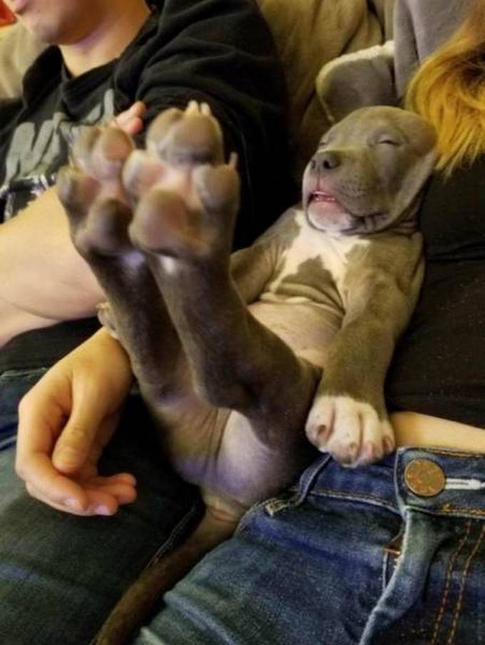 Fotos legais #71 (34 fotos) 21