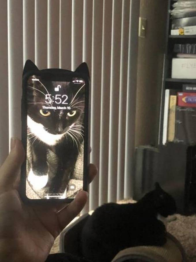 Fotos legais #71 (34 fotos) 23