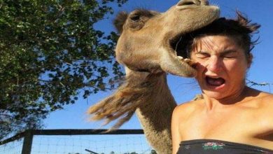 24 fotos de pessoas que estão apenas a um segundo de completo fracasso 34