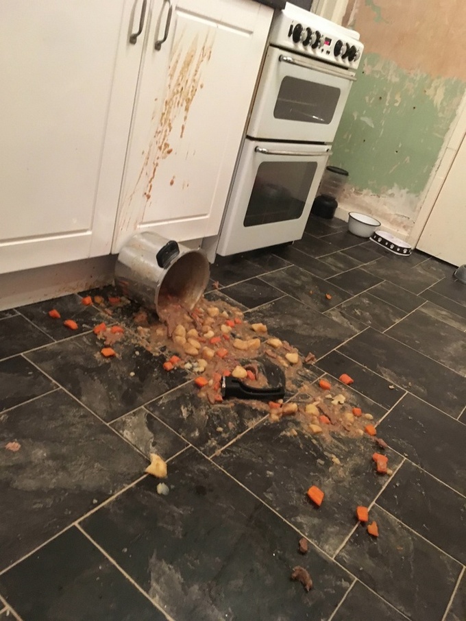 18 fotos que refletem toda a dor das palavras “não é meu dia” 15