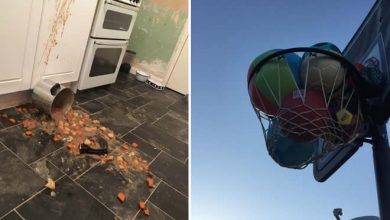 18 fotos que refletem toda a dor das palavras “não é meu dia” 42