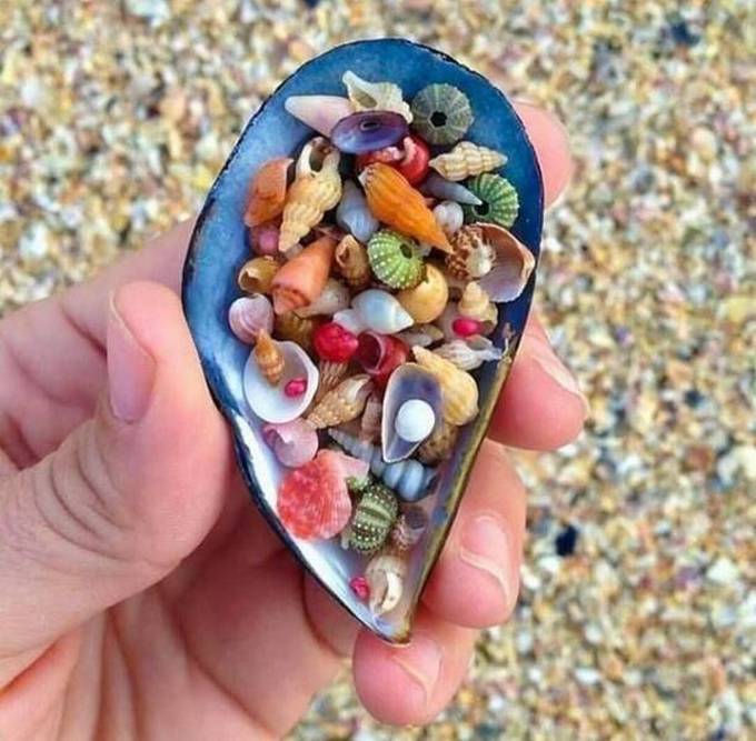 32 imagens épicas que são fascinantes 9