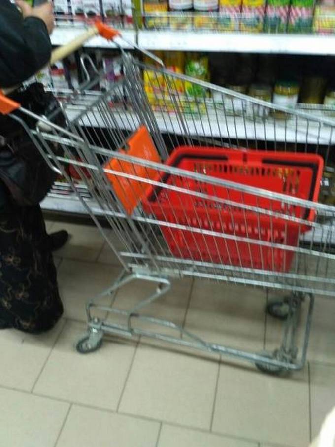 Nunca pode haver muita preguiça! (17 fotos) 5