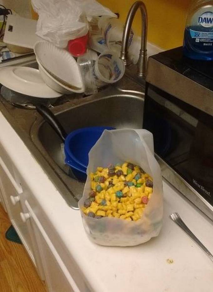 Nunca pode haver muita preguiça! (17 fotos) 7