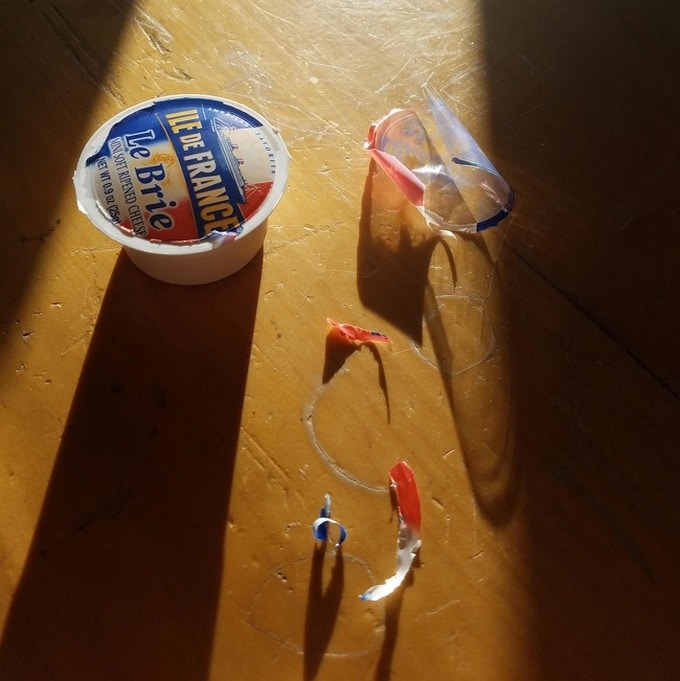 23 pessoas que sabem o que significa ser azarado melhor que qualquer um 6