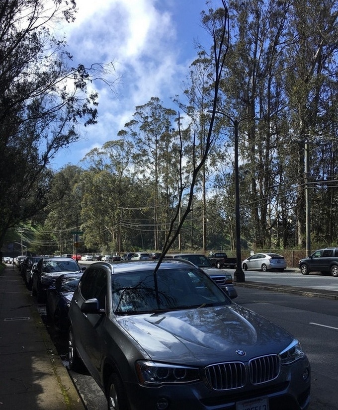 23 pessoas que sabem o que significa ser azarado melhor que qualquer um 7