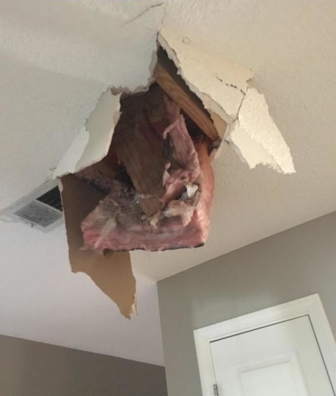 23 pessoas que sabem o que significa ser azarado melhor que qualquer um 14