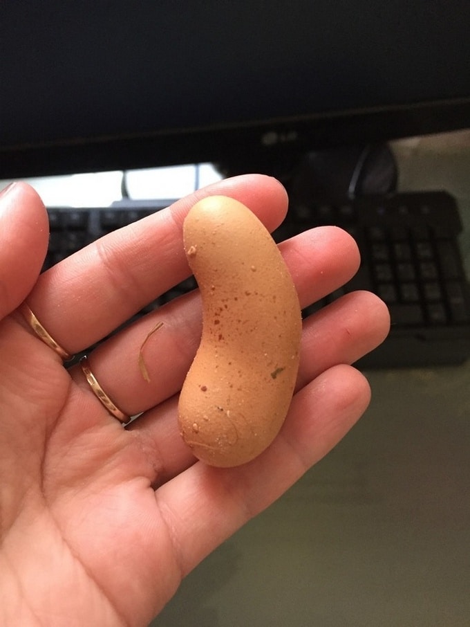 Tente olhar para estas 20 coisas sem dizer Uau! 2