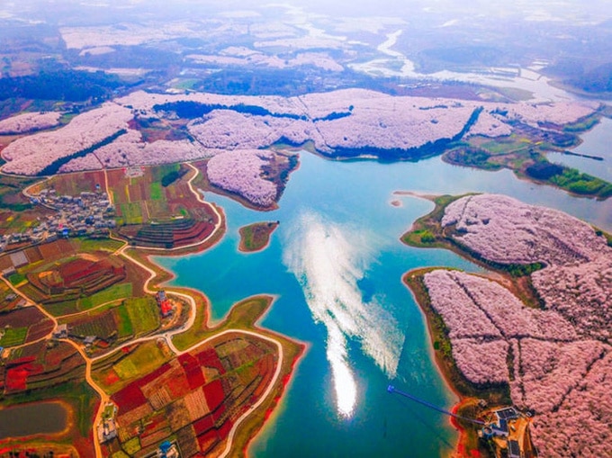 Tente olhar para estas 20 coisas sem dizer Uau! 6