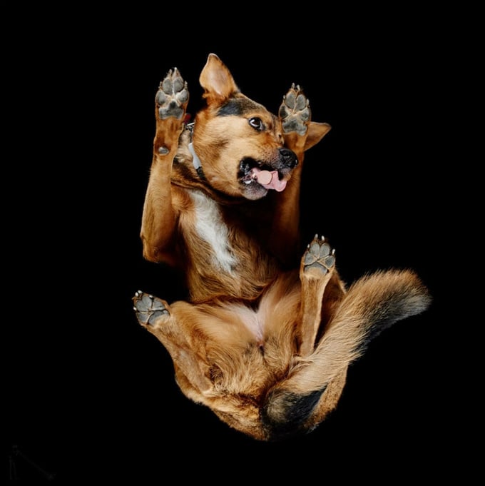 Tente olhar para estas 20 coisas sem dizer Uau! 19