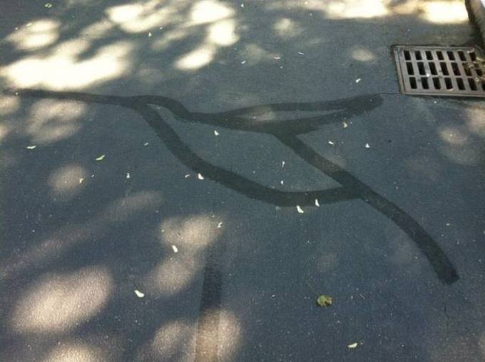 A imaginação faz sua vida mil vezes mais interessante! (17 fotos) 6