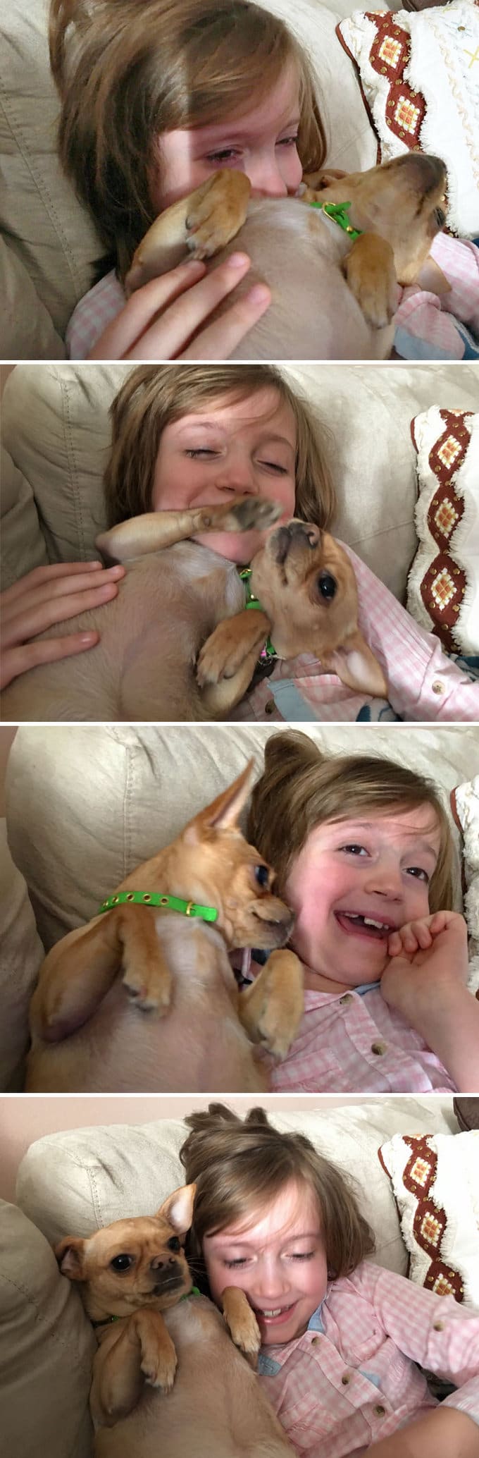 26 exemplos de amor de cachorro incondicional que vai derreter seu coração 12