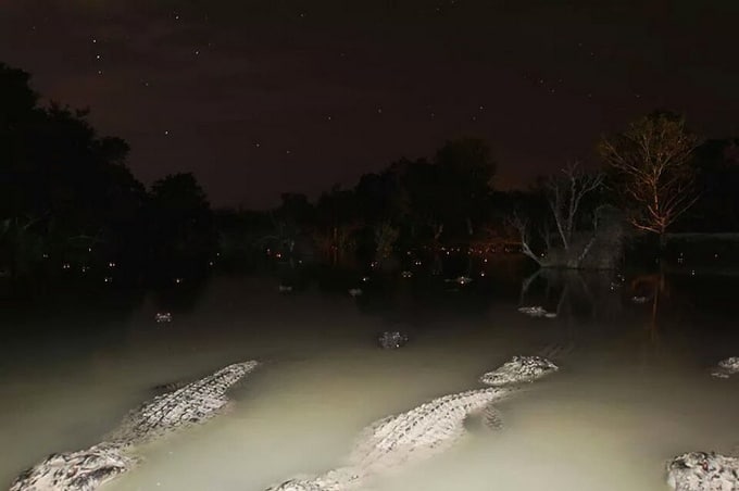 18 fotos assustadoras que podem assustar até os maiores amantes da emoção 2