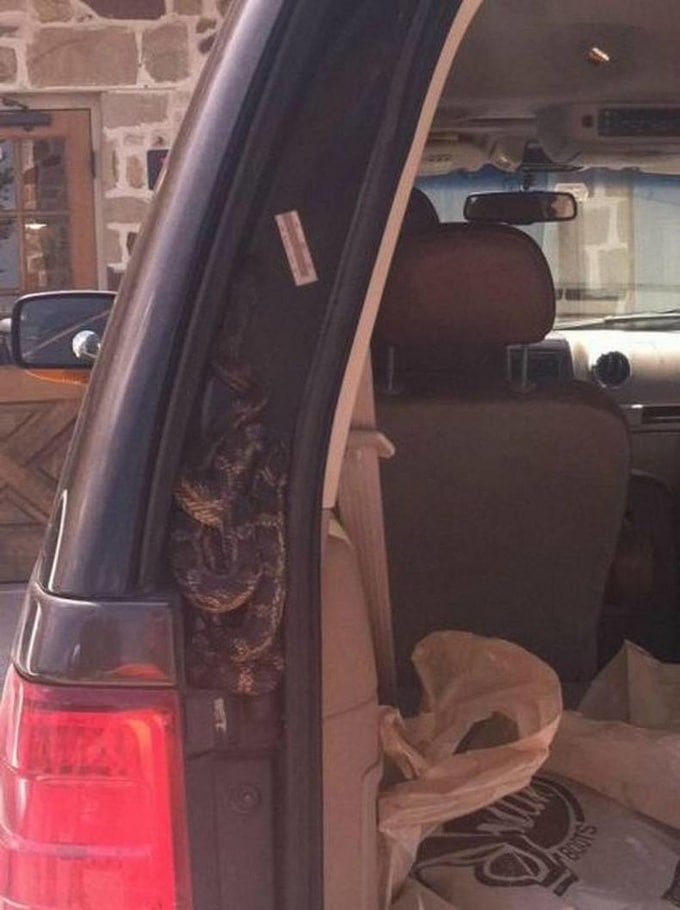 18 fotos assustadoras que podem assustar até os maiores amantes da emoção 8