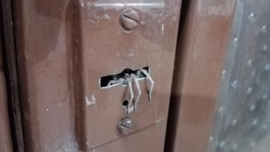 18 fotos assustadoras que podem assustar até os maiores amantes da emoção 32