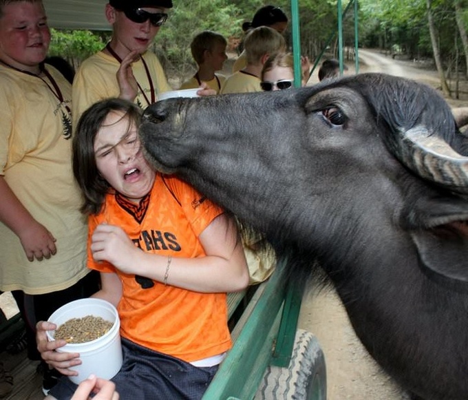 27 fotos inigualáveis ​​tiradas no momento certo 6