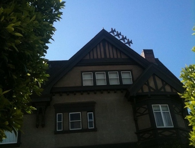 27 fotos inigualáveis ​​tiradas no momento certo 23