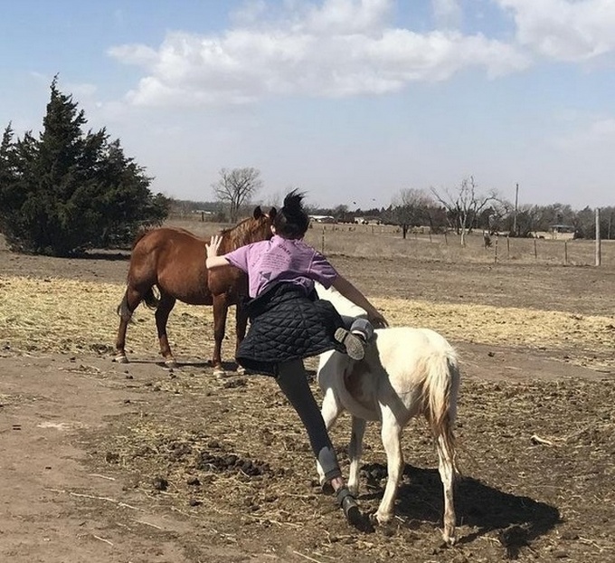 27 fotos inigualáveis ​​tiradas no momento certo 26