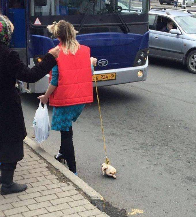 19 fotos que é difícil de explicar 17