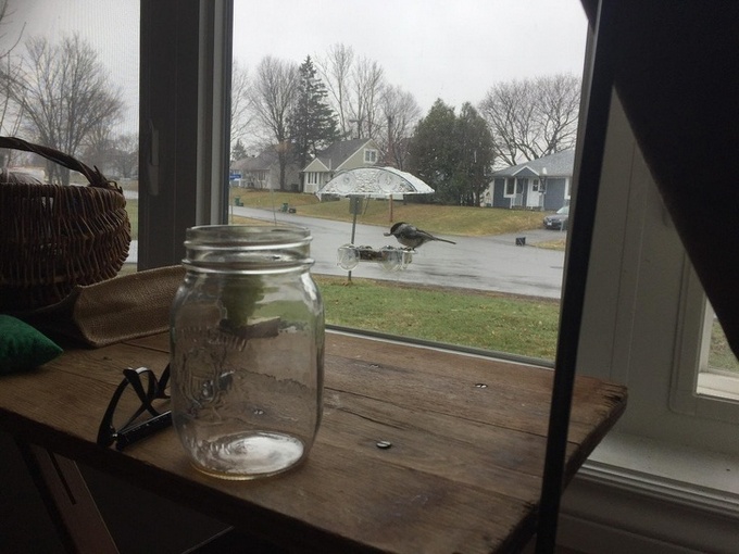 24 fotos que enganaram nossos olhos 8