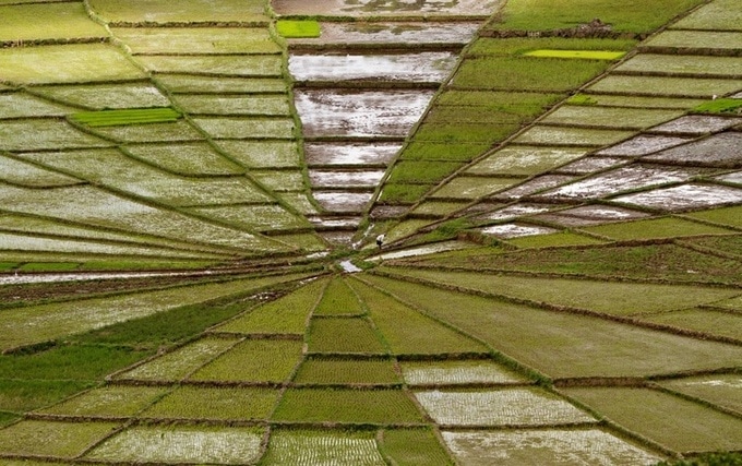 24 fotos que enganaram nossos olhos 14