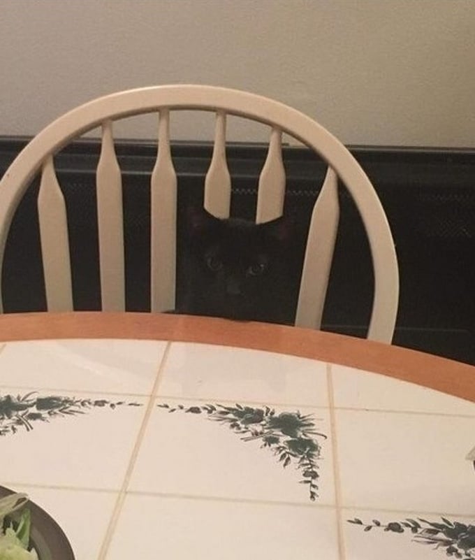 24 fotos que enganaram nossos olhos 24