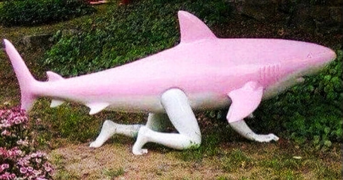 20 fotos que são absurdamente fora do normal 16 20 fotos que são absurdamente fora do normal 16