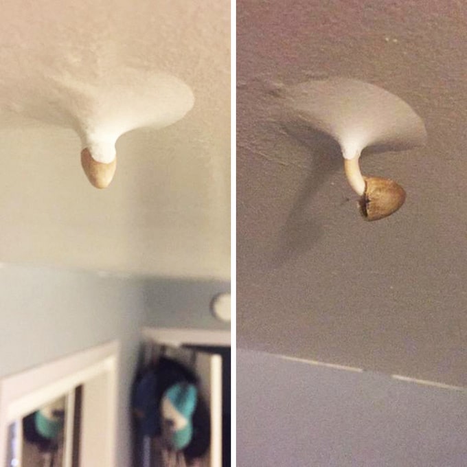 16 pessoas que não têm ideia do que aconteceu com elas 14