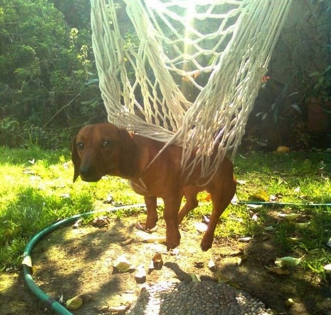 16 pessoas que não têm ideia do que aconteceu com elas 16