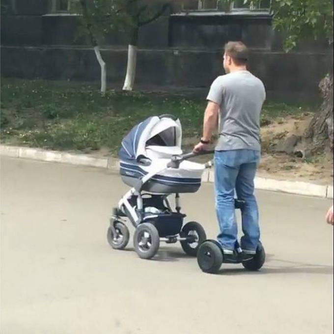 Por que eles são tão espertos! (22 fotos) 1