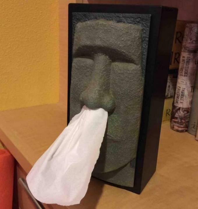 Por que eles são tão espertos! (22 fotos) 12